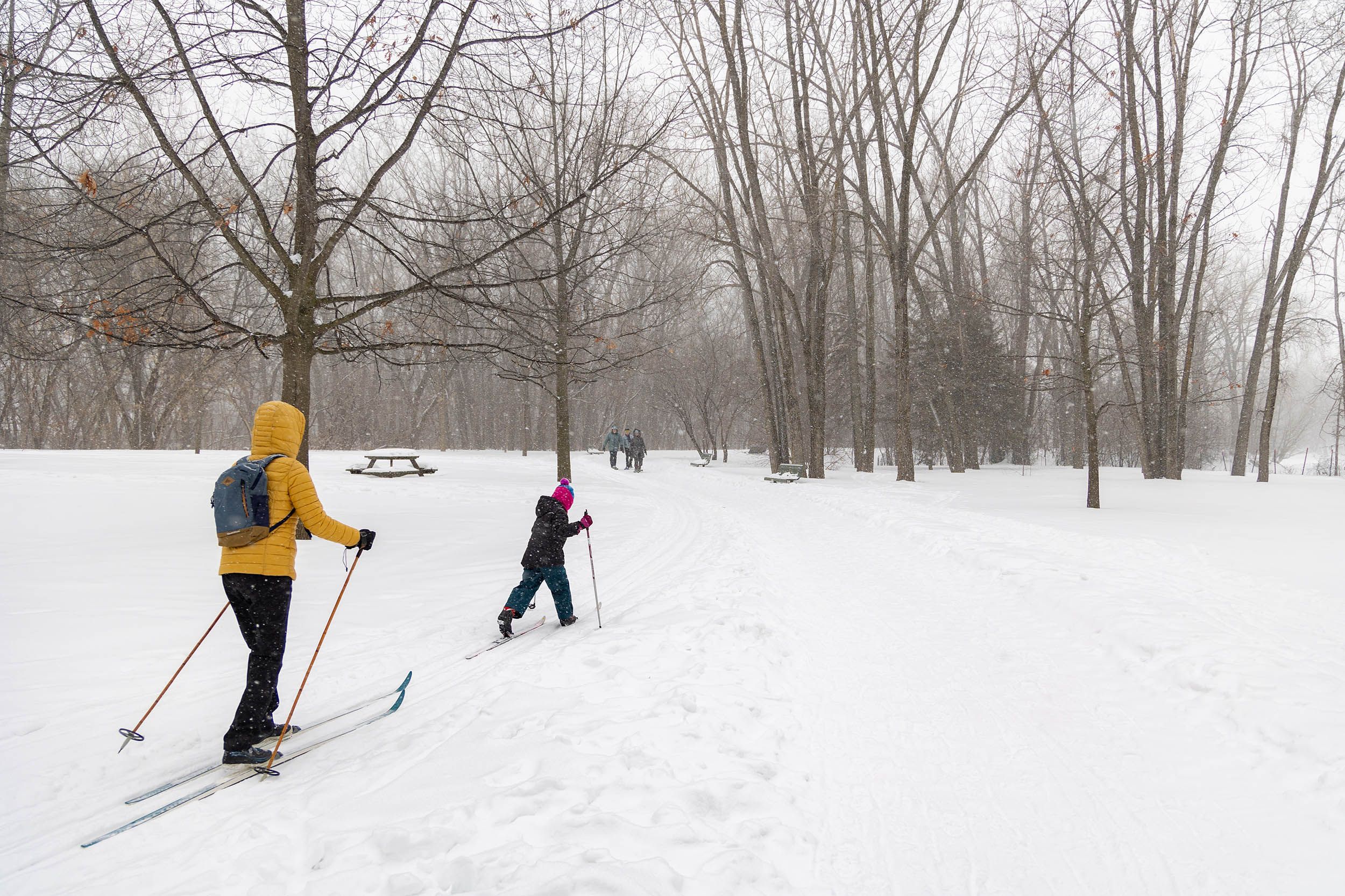 People cross country skiing in a park during winter